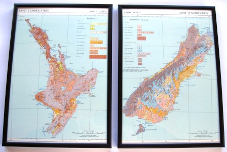 A vintage 1950's map featuring New Zealand's geology